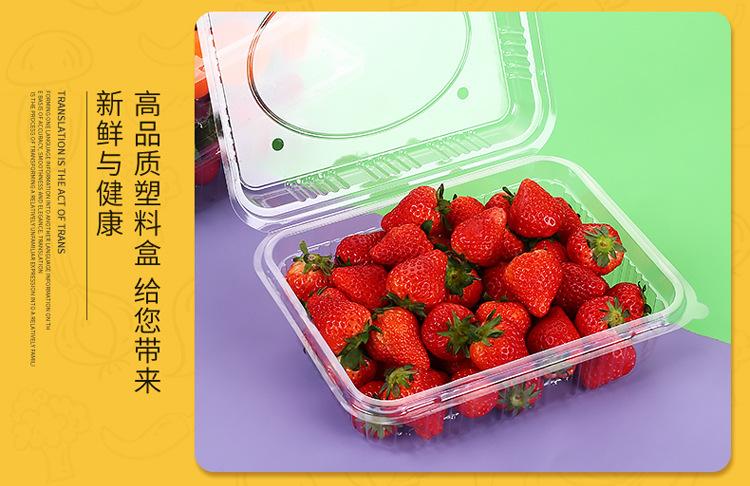 水果盒_32.jpg