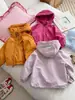 Chaqueta Exterior de Otoño para Niñas, Estilo Nuevo, Abrigo Infantil a Prueba de Tres Elementos con Capucha, Cortavientos e Impermeable, para Niños Mayores