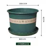 Maceta de Plástico Engrosada Mejorada Venta al por Mayor Maceta de Resina Maceta Verde Lilch para Suculentas Maceta para Árboles Frutales Rosa Maceta Extra Grande