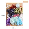 Flores Secas DIY Flores Imortais Pétalas de Flores Naturais Relevadas Pacote de Material Relevado Vela de Aromaterapia Fabricante de Material Floral Atacado