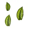 Hojas de Bambú Artificiales, Hojas de Planta Falsas Verdes con Patrón de Zebra Siempreverdes, Accesorios Artificiales para Manualidades con Hojas, Hojas Falsas de Planta Verde Artificial