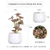 Planta Artificial en Maceta Mini Transfronteriza Hecha a Medida Planta Verde de Simulación Pavimento de Piedra Plástica de Diamante Tacto PU Hoja de Tortuga Planta Pequeña en Maceta