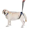 Cinturón de Soporte para Patas Traseras de Mascotas Más Vendido de Amazon, Cinturón de Ayuda para Trepar Perros, Cuerda de Tracción Ajustable al por Mayor