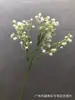 Nova simulação mini ouriço do mar gypsophila flor de arroz estrela decoração de móveis gypsophila estrela Decoração de buquê arranjo de flores pequeno fresco