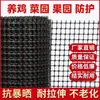 Malla de plástico para vallas red de pollo para avicultura red para valla de huerto red para valla de huerto estanque de peces red protectora red para valla de pollos para cría red para valla de tierra pared