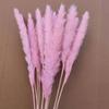 Flores secas de pampas naturales, accesorios de tiro al por mayor, accesorios para el hogar, flores secas de caña, punto