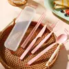 Juego de Cubiertos de Plástico (Cuchillo, Tenedor, Cuchara y Palillos) para Picnic al Aire Libre, Juego Portátil de Cuatro Piezas para Estudiantes y Trabajadores de Oficina
