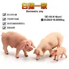 Porquinho Fofo Simulado, Gado, Porca, Modelo de Javali, Boneco Animal de Brinquedo, Presente Educacional de Plástico para Crianças