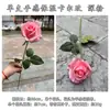 Transfronterizo Producto Nuevo Hidratante Rosa Tallo Único Hidratante Karl Rosa Rosa Blanco Hogar Decoración Suave Flor Artificial Mayoreo