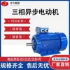 Fabricante de Motores Shandong Huali Motor Assíncrono Trifásico YE4 Nível de Economia de Energia 2 Eficiência Energética 380V