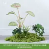Planta Artificial Empilhada para Paisagismo Sob Escada, Samambaia & Pteri