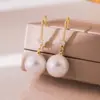 Pendientes de Gancho de Perla y Circonita de Moda Estilo Coreano, Pendientes Largos Exquisitos y Simples, Pendientes de Lujo Ligero y de Alta Gama al por Mayor para Mujeres