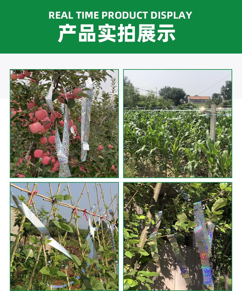 详情_07
