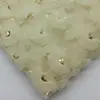 Tela de Bordado de Malla Semiredonda Tela Bordada para Falda Larga Decorativa de Vestido Estilo Europeo