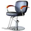 Cadeira de Cabeleireiro, Cadeira de Corte de Luxo Leve, Banco para Salão de Beleza, Cadeira de Cabeleireiro Giratória e com Elevação, Cadeira para Barbearia