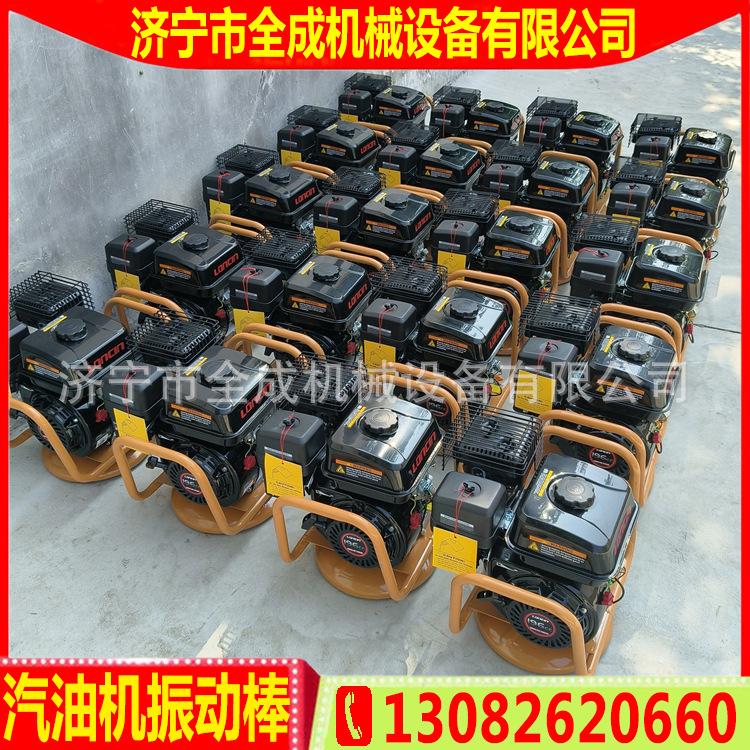 隆鑫马式 (4).jpg