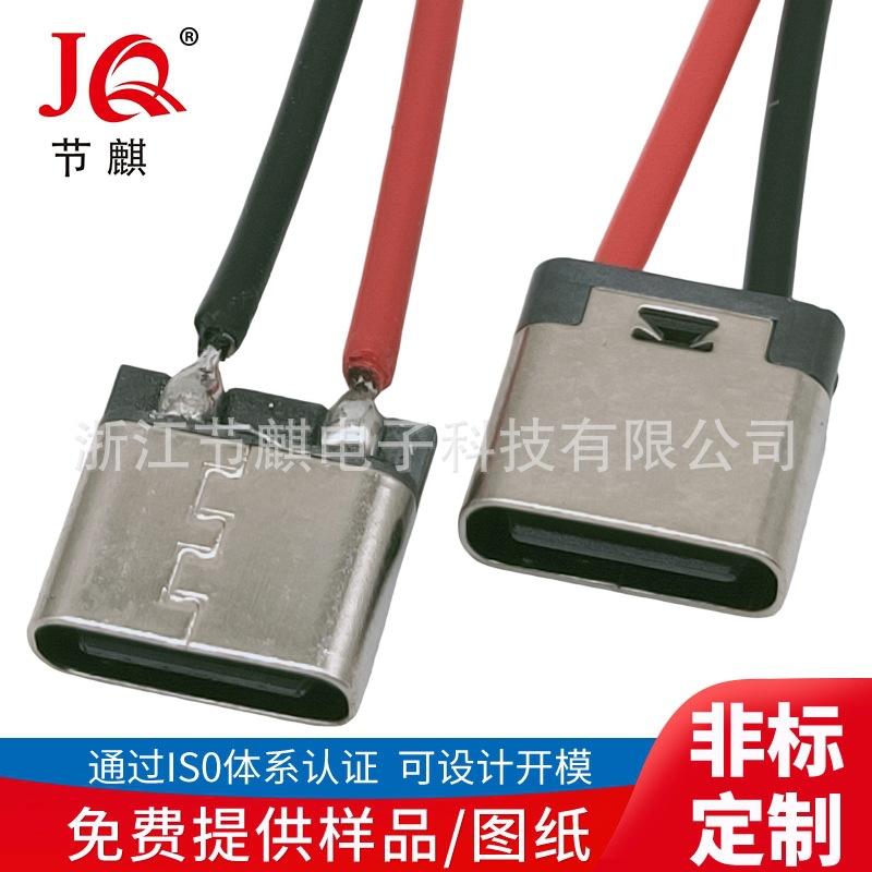 JQ-TYPE-C-20010 2P板子带线 (3)(1)