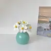 Estilo Ins Jarrón Redondo Pequeño Flores Secas Flores Artificiales Colorido Set de Botellas de Cerámica Decoración para Dormitorio Sala de Estar Mini Adornos Pequeños