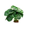 Plantas Artificiales para Paisajismo de Reptiles, para Reptiles, Tortugas, Lagartijas, Ranas Cornudas, Terrarios, Plantas Verdes, Tanque de Selva Tropical, Decoraciones de Hojas