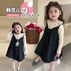 Vestido de Mezclilla para Niña Atuendo de Primavera 2025 Estilo Nuevo Vestido de Primavera y Otoño para Niños con Estampado Floral Elegante Vestido de Princesa para Bebé
