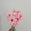 Sementes de Melão com Flores Secas de Yunnan, Flores Frescas Feitas à Mão, Flores Reais para Decoração de Casa, Adereços de Fotografia, Atacado