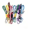 Lanyard de Pelúcia Caixa Surpresa Chaveiro Celular Copo de Água Cor Dopamina Chaveiro Coreano Cartão Mochila