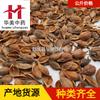 Lianqiao 1000g Huamei Medicina Tradicional Chinesa e Materiais Medicinais Chineses Atacado Disponível em Estoque Huang Lianqiao Laoqiao Produtos Novos