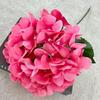 Ameixa arte única hortênsia casa mesa de jantar arranjo de flores decoração flor artificial casamento decoração de casamento acessórios adereços de fotografia Flor