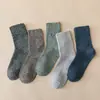 Generación transfronteriza de calcetines de otoño e invierno para hombre, retro y línea de calcetines de gipsófila, calcetines cálidos acolchados para el suelo, venta al por mayor