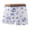 Roupa Íntima Masculina Desenho Animado Boxer Juvenil Esportivo Amigo da Pele Respirável Estudante Boxer Personalizado Fabricante Atacadista