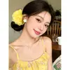 Pinza para el pelo de flor de malla para primavera y verano para mujer, Clip tiburón pequeño de estilo nuevo de alta gama 2026, Pasador, Accesorio para el cabello