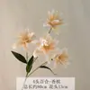Flor Artificial 3D de Lirio de Doble Pétalo Modelo Nuevo Transfronterizo Flor de Lirio Decoración de Boda Arreglo Floral para Sala de Estar Material de Flor Artificial