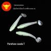 Liansen fabricantes por atacado luminoso T-tail isca mole espiral parafuso T-tail isca isca de silicone de peixe macio de cauda única isca falsa