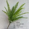 Folhas Decorativas de Plástico Artificial Borracha Macia Samambaia Grama Persa Samambaia Rim Samambaia Fênix Paisagem de Engenharia de Inverno Astronômico