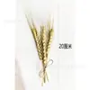Mini ramo transfronterizo, mini ramo de flores secas, flor eterna, ramo de regalo de aromaterapia, venta al por mayor desde fabricante de Yunnan