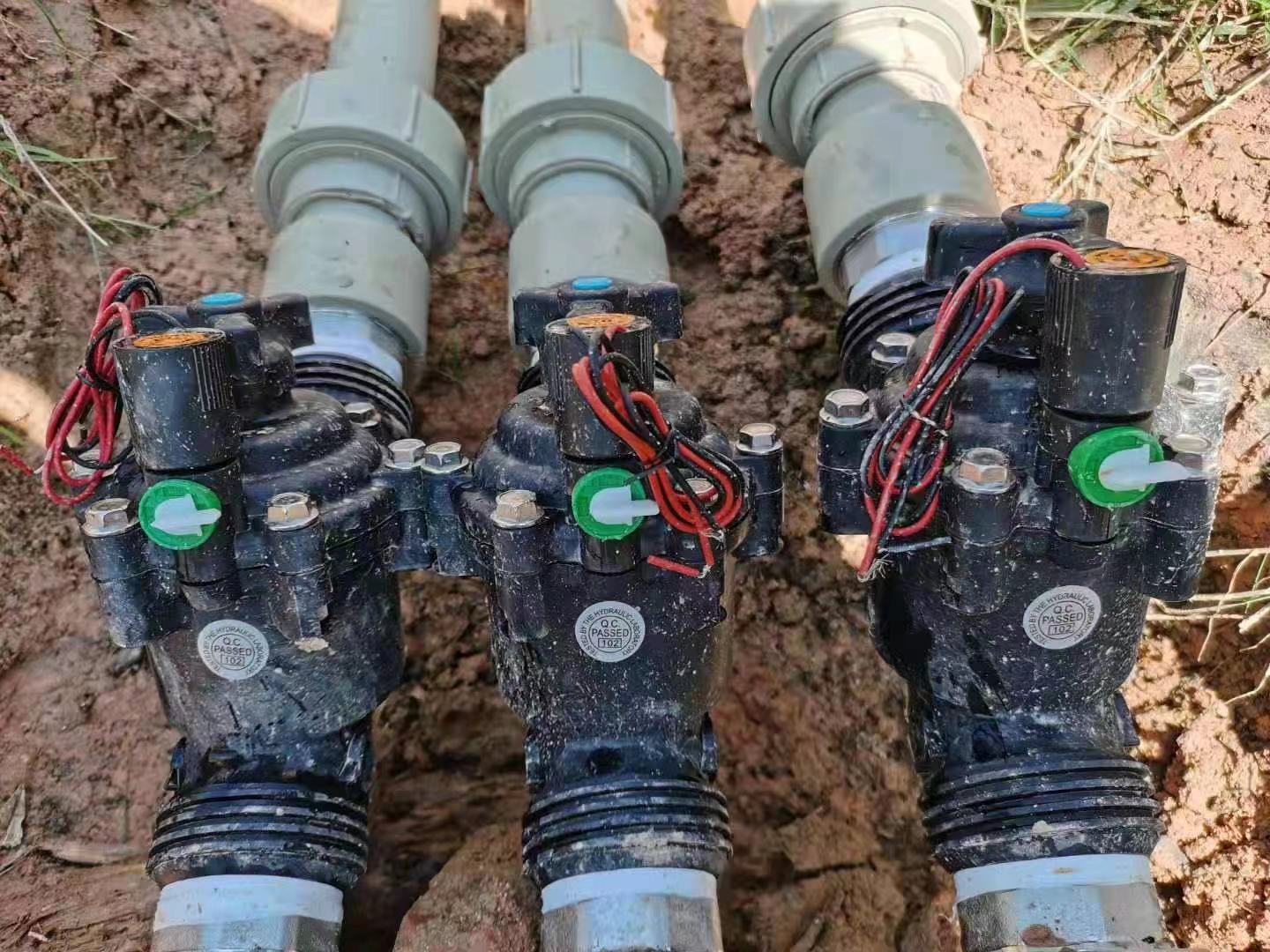 微信图片_20210724131531