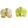 Orquídea Phalaenopsis Flor Artificial Phalaenopsis Cabeza de Flor Grande 9cm Cabeza de Flor Phalaenopsis Recuerdos para Bodas y Fiestas Decoración DIY Regalo