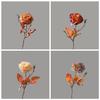 Rosas Artificiales Estilo Retro con Borde Quemado, Plantas Verdes al por Mayor, Manualidades para Decoración de Bodas, Flores Falsas Estilo Ins