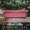 Maceta Rectangular Pequeña de Resina para Uso Doméstico, Cerámica de Imitación Arena Púrpura, Adecuada para Plantas Verdes, Bonsái de Árbol de Banyan, Venta al por Mayor