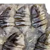 Pescado Jinchang Secado al Sol Ligeramente, Pargo Dorado de Aguas Profundas, Pescado Salado Seco, Productos Marinos Secos, Pescado Jinchang, Especialidad de Zhanjiang, Secado al Aire, Guangdong