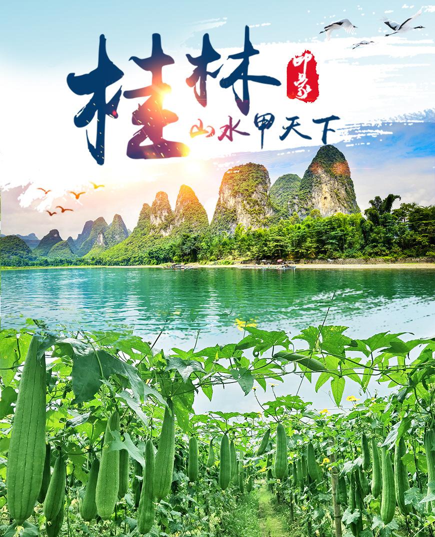 丝瓜基地_01.jpg