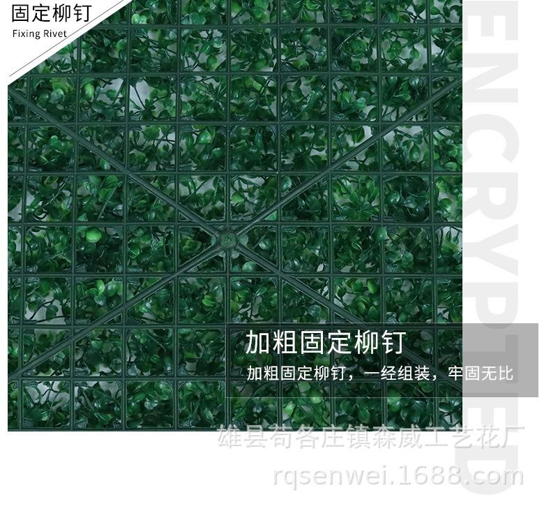 尤加利_07.jpg