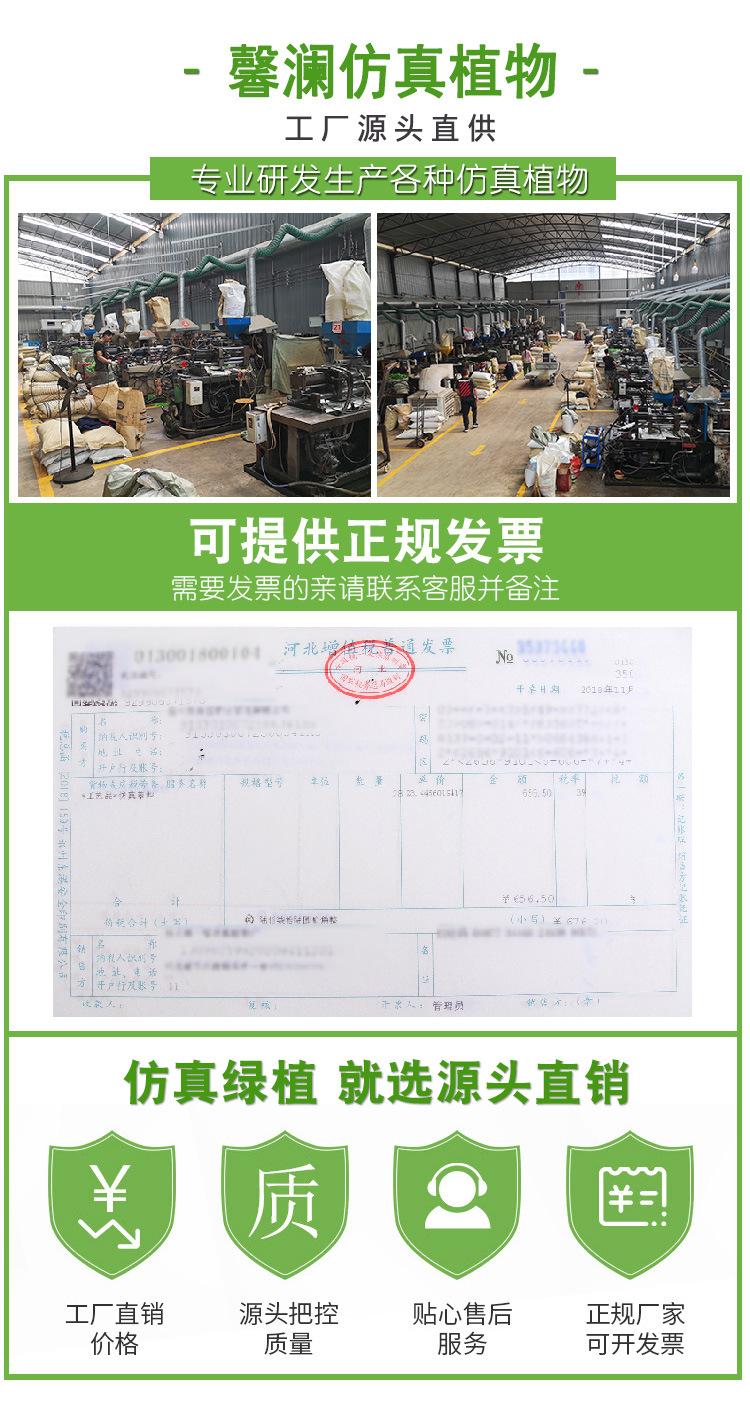 宝贝详情图21