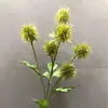 6 lanternas redondas pinho dente-de-leão buquê seco artificial modelo crisântemo bola paisagismo de quarto crisântemo pingue-pongue plantas verdes decorativas