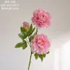 Ruoyun Gran Peonía Fabricante Transfronterizo de Flores Artificiales Decoración del Hogar Ramo de Boda Pared de Flores de Rosa Flores Falsas Estilo Ins