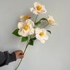 Peça grande de flor Yumeiren de 5 cabeças Fila de flores para caminho de casamento Yumeiren Flor artificial Decoração da área de boas-vindas do salão de casamento Flor artificial