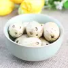 Semente de Bodhi de Seis Vias e Cinco Olhos Sementes Originais Fruta de Cinco Olhos Jujuba Selvagem do Sul Acessórios de Contas para Pulseira DIY Fábrica de Contas
