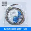 Cable de Fibra Óptica Pigtail Sc/Lc de 12 Núcleos con Cabeza Cuadrada Pigtail Sc/Lc de Cabeza Redonda y Cuadrada Jumper Pigtail Sc de Modo Único