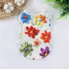 Chaleco Anticaída para Perros y Gatos de Primavera y Verano Set Impreso en 3D de Ropa para Perros Pequeños y Medianos Corgi Bichon