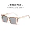 Gafas de Sol de Celebridad de Internet de Moda 2025 Estilo Simple Ins Personalidad Estilo Callejero Gafas Ojo de Gato para Mujer Gafas Transfronterizas